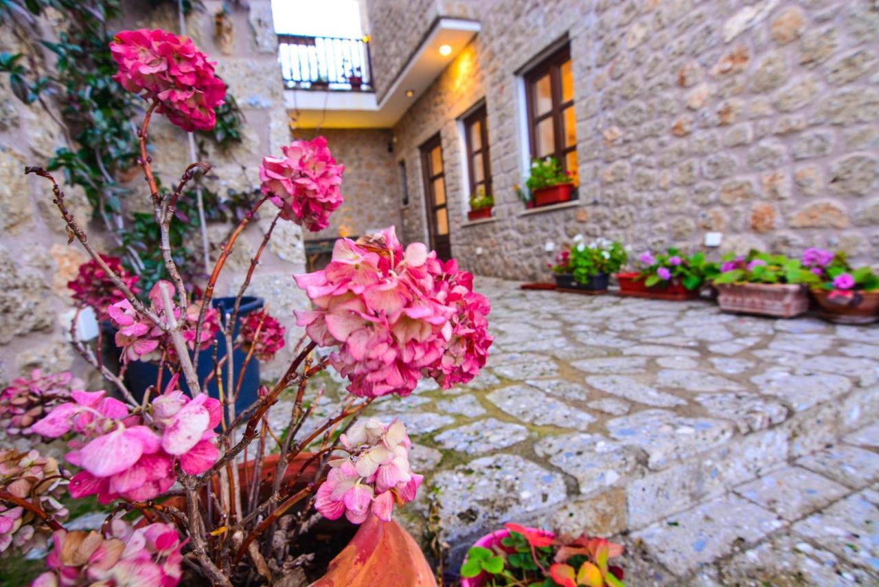 Aipytos Guesthouse Synikia Mesi Trikalon Dış mekan fotoğraf